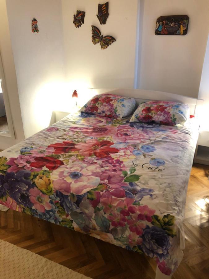 Studio Villa Mattossi Ровинь Экстерьер фото